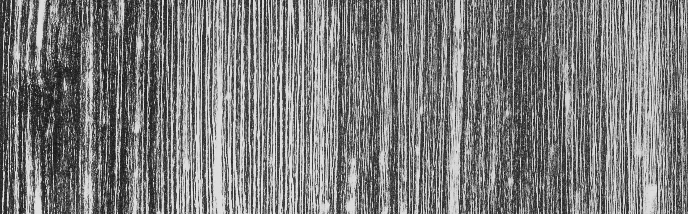 Distinction Jacqueline Oyex