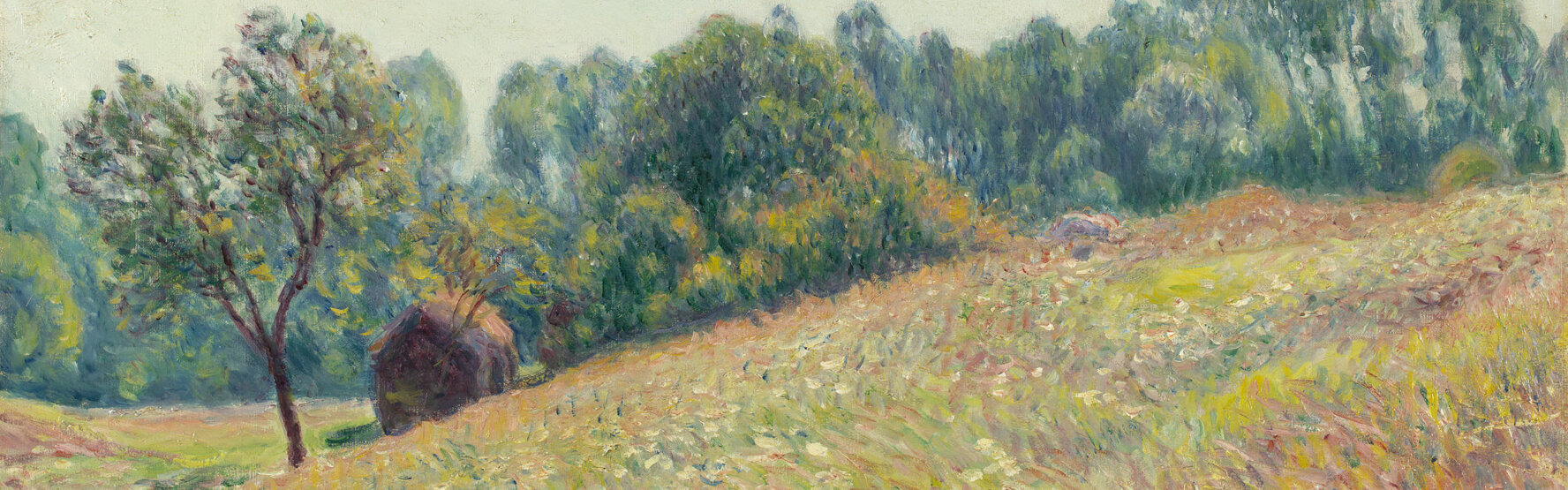 Courbet, Monet, Renoir... Focus provenance