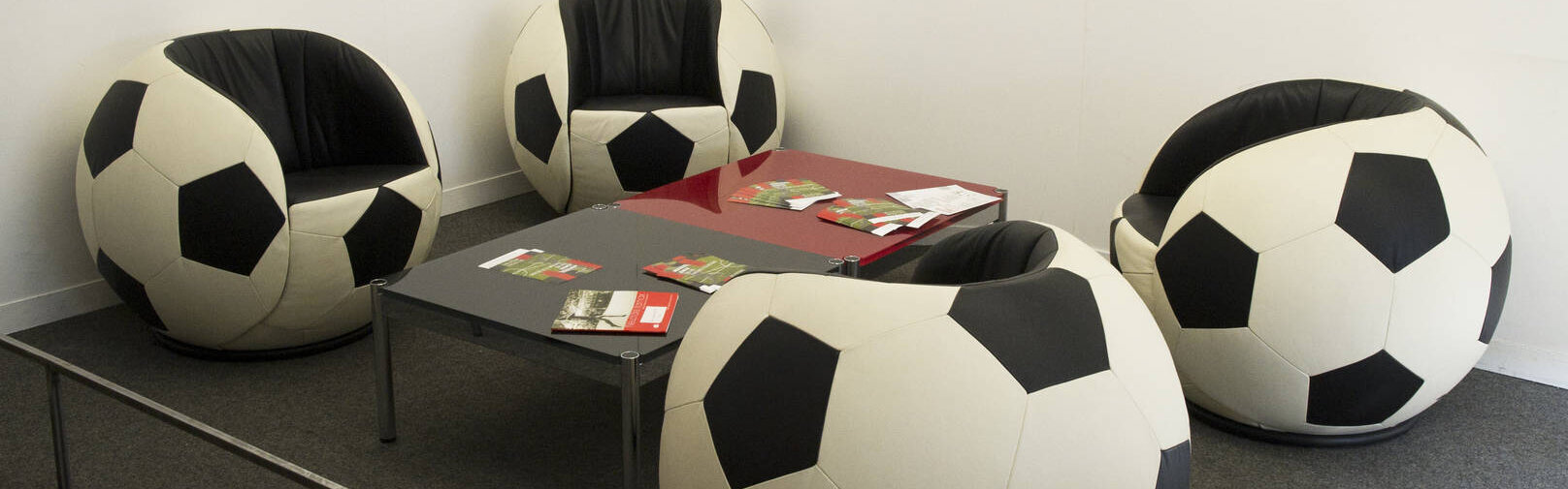 Neuchâtel Xamax: 100 ans d'histoire et de passions