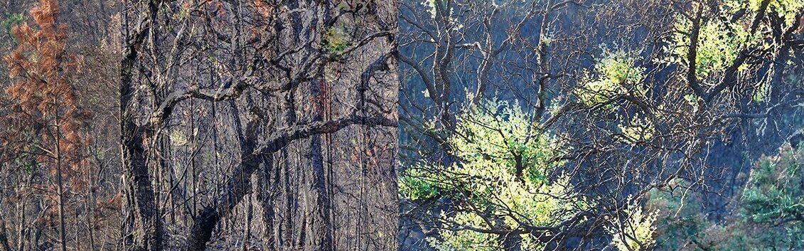 Regard invité avec Catherine Gfeller