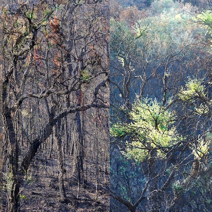 Regard invité avec Catherine Gfeller