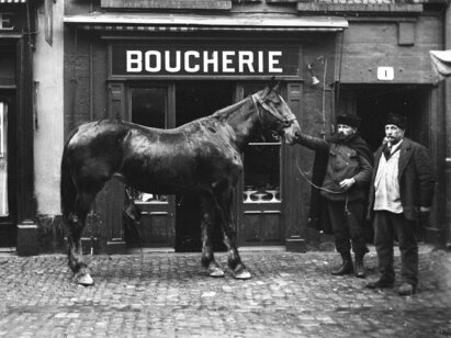 Hermann Russ (attr.), Cheval devant une boucherie à Neuchâtel, 1er quart du 20e s., négatif sur verre. H 2019.80.30