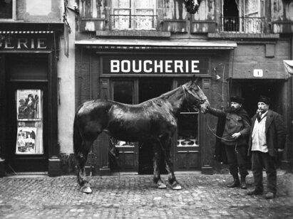 Hermann Russ (attr.), Cheval devant une boucherie à Neuchâtel, 1er quart du 20e s., négatif sur verre. H 2019.80.30