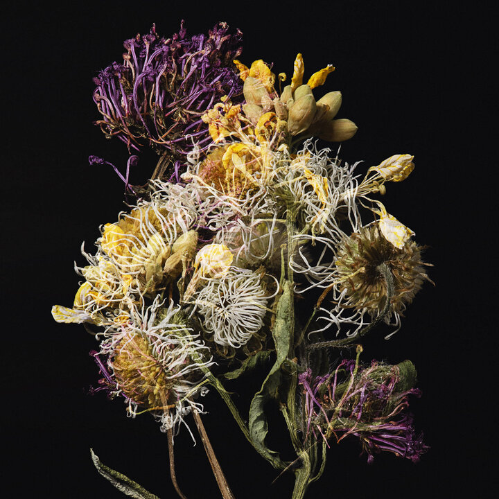 Flora Neocomensis
