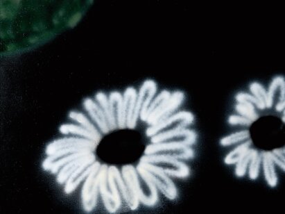 Larry Deyab (*1957), Black Flowers, 2004. Peinture au spray sur toile, 96.5 x 198 cm. ©MahN - AP 2600