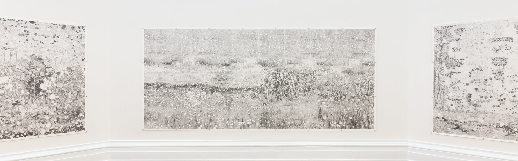 Hodler. Un modèle pour l'art suisse. Visite commentée