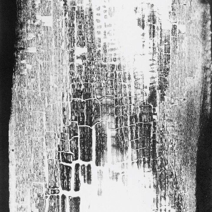 Secondo. Distinction Jacqueline Oyex 2026. Inauguration de l'exposition-dossier