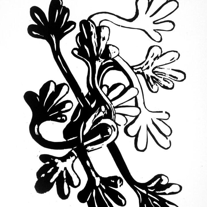 Distinction Jacqueline Oyex