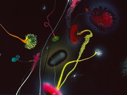 Thierry Feuz (*1968), Minilux phenomen, 2004. Laque synthétique sur toile, 67 x 127 cm. ©MahN - AP 2577
